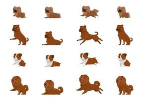 Set of dogs in different poses. Pekingese, Shar Pei, English Bulldog and Chow-Chow in cartoon style. vector