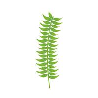 Isolated green leaf vector design