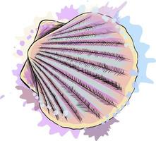 Top view, sea shell scallops from a splash of watercolor, colored drawing, realistic. Vector illustration of paints