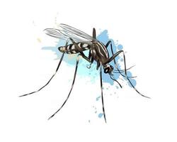 Mosquito from a splash of watercolor, colored drawing, realistic. Vector illustration of paints