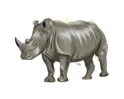 Rhinoceros from a splash of watercolor, colored drawing, realistic. Vector illustration of paints