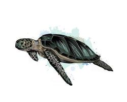 Sea turtle from a splash of watercolor, colored drawing, realistic. Vector illustration of paints