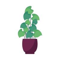 Isolated plant inside pot vector design