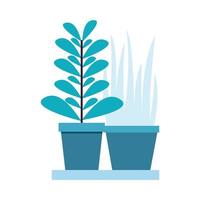 Isolated plants inside pots vector design