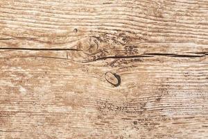 Close up of wood texture, structure of natural old wood photo