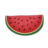 watermelon fresh fruit healthy icon vector