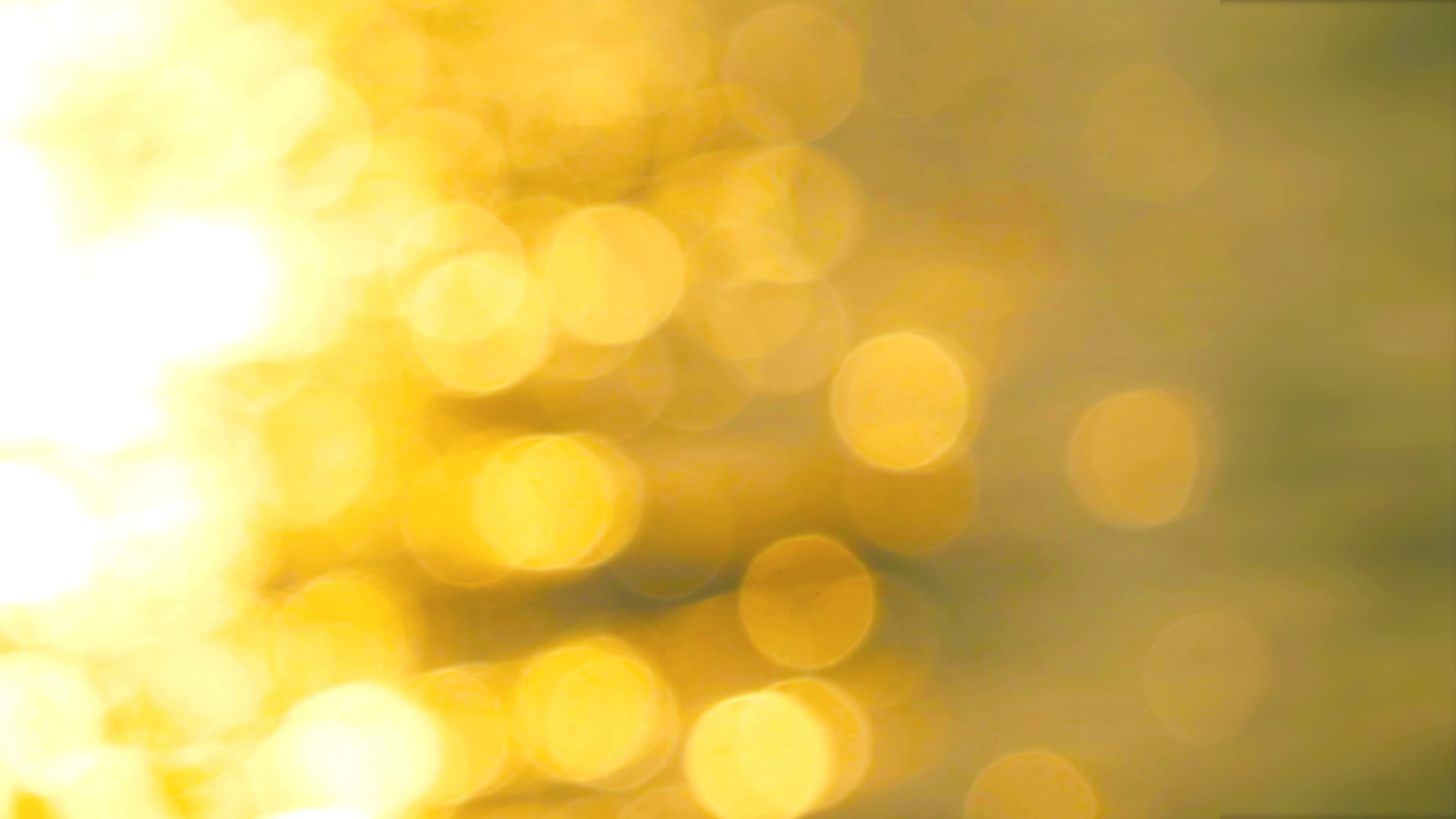 Sunset Bokeh Stock Video Footage for Free Download