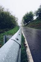 Road with green vegetation in the forest photo