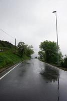 Road with green vegetation in the forest photo