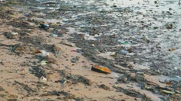 waste on coast with foam and seaweed are left on the beach and the waves blew them into the sea video