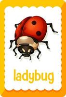 Vocabulary flashcard with word Ladybug vector