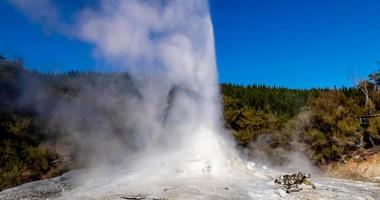 Lady Knox Geyser getting ready to explode and then exploding, Rotarua, New Zealand