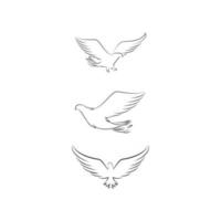 Falcon wing icon Template vector