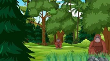 orangután en el bosque o la escena de la selva tropical con muchos árboles vector