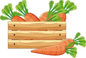 Carrots in a wooden crate in cartoon style isolated vector