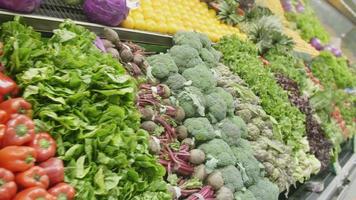 alimentos orgánicos vegetales ingredientes para cocinar imágenes de video hd 4k