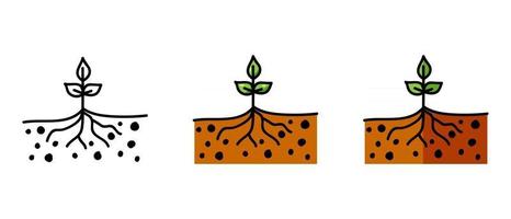 símbolos de contorno y color de la plántula vector