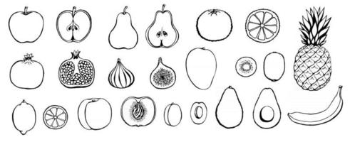 vector dibujado a mano conjunto de iconos de frutas. Colección de estilo retro decorativo menú de restaurante de productos agrícolas, etiqueta de mercado.