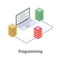 programación y desarrollo web vector