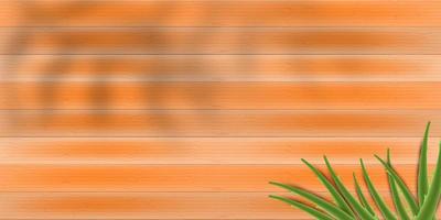 wooden background with aloe vera vector