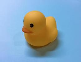 Yellow rubber duck on a blue background