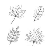 Set of autumn leaves isolated on white background. Vector illustration in hand drawn outline style. Black and white sketch style drawing