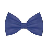 Isolated male blue bowtie vector design