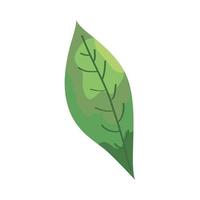 icono aislado de la ecología de la planta de hoja vector