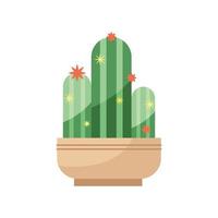 cactus in pot vector