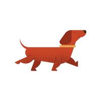 dog pet walking vector