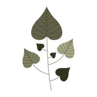 leafs plant foliage vector