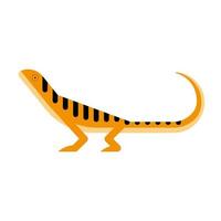 cute newt amphibian vector