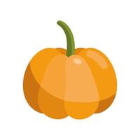 calabaza vegetal fresca vector