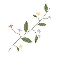 branch with flowers vector