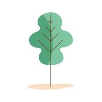 tree nature plant vector
