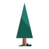 pine tree plant nature isolated icon vector