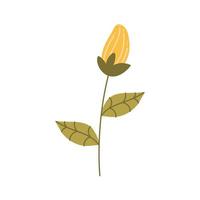 yellow flower and leafs spring isolated icon vector