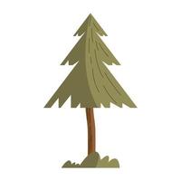 pine tree plant ecology branch vector