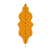 leaf icon isolated vector design