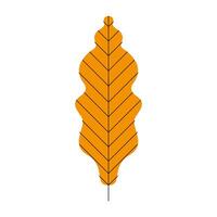 leaf icon isolated vector design