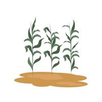 Farm corn plants vector design