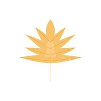 autumn leaf isolated vector design