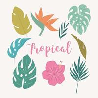 Modern tropical leaves.Botanical elements.Jungle leaves vector