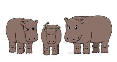 Brown vector outline cartoon set of three hippos stand on the ground. Two Oxpecker birds are on the back of hippopotamus. Doodle isolated family illustration on white background