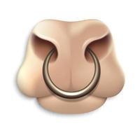 Redhead bull face with a golden rings in the nose Isolated on white background 3d realistic illustration Vector