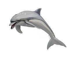 Dolphin from a splash of watercolor, colored drawing, realistic. Vector illustration of paints
