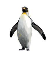 pingüino emperador de un toque de acuarela, dibujo coloreado, realista. ilustración vectorial de pinturas