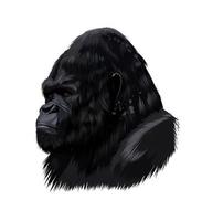 Gorilla head portrait from a splash of watercolor, colored drawing, realistic. Vector illustration of paints