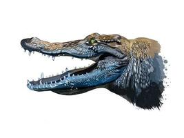 Crocodile head portrait from a splash of watercolor, colored drawing, realistic. Vector illustration of paints