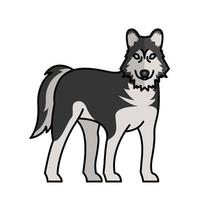 siberian wolf dog pet mascot breed character vector